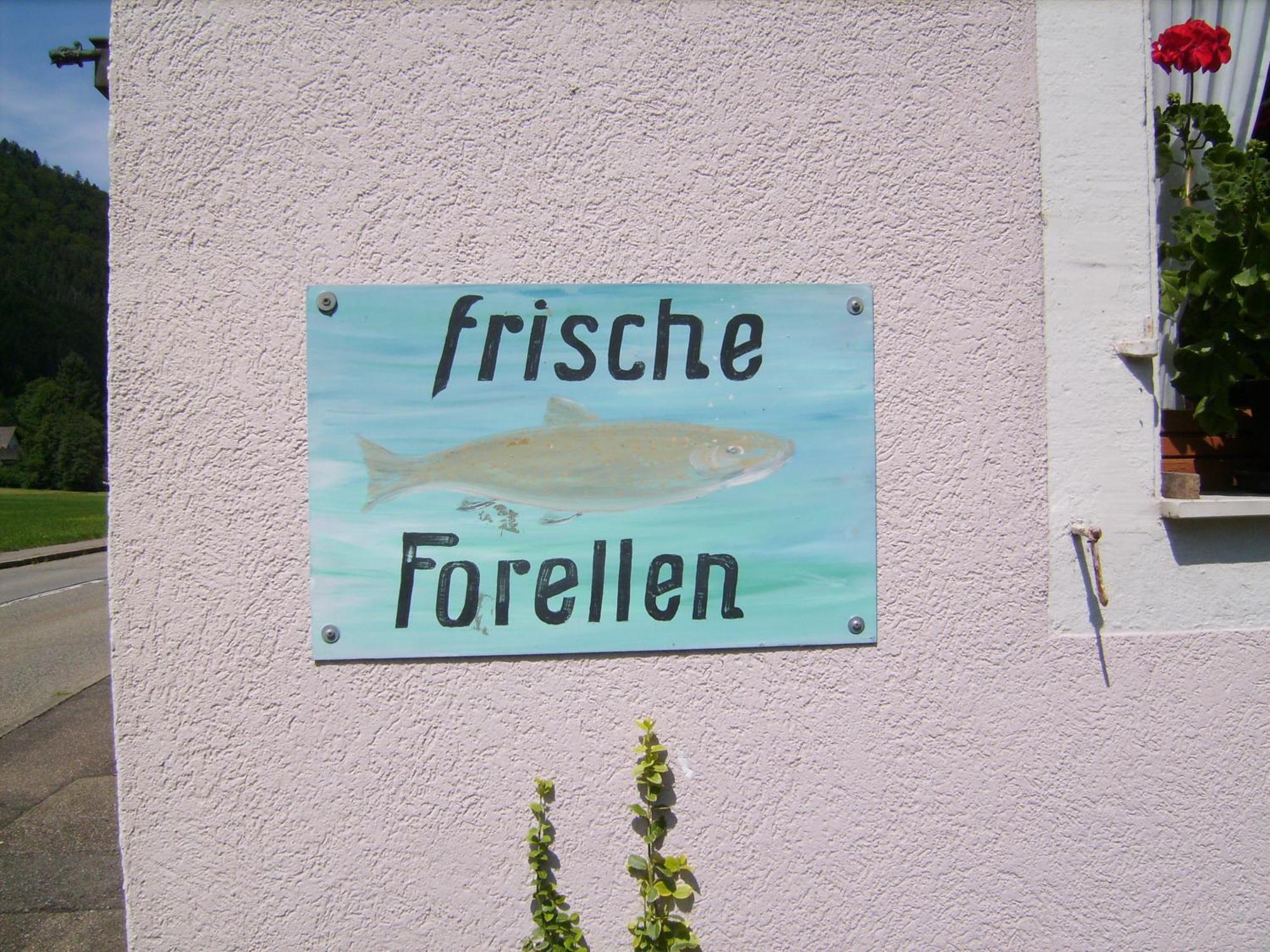 Gasthaus Zur Erle Simonswald Exteriör bild